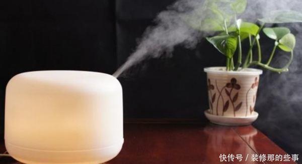 冬天|冬天,家有暖气,千万不要把花盆放这里,一养一个死