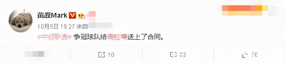 海港|再见高拉特!再见归化一哥!苗原爆料,下家或海港国安泰山3选1