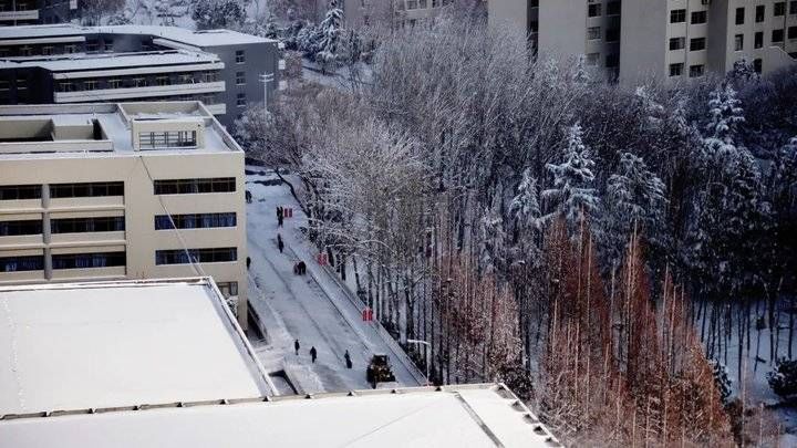 鲁东大学这场雪！太！大！了