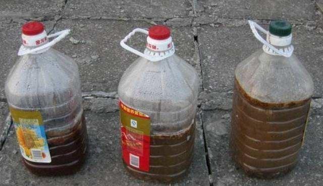 花肥不用买，一把“黑蛋蛋”撒花盆，比啥肥都灵，养花贼壮