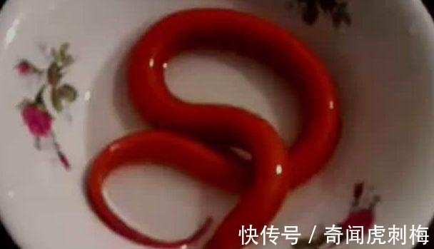 黄鳝|男子野外钓鱼散心, 钓到一条怪鱼, 富豪出高价收购却被他拒绝