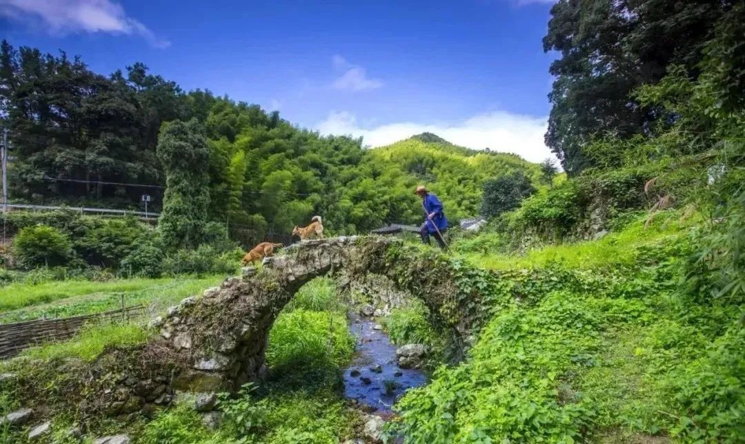 临海尤溪，古桥流水，诗画田园|浙江美丽城镇建设省级样板 | 尤溪镇