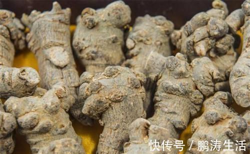 补气养血|黄芪常喝身体棒,加上此物一起用水煮,补气益血,便宜又实惠