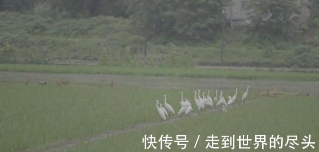 萬暢|專訪萬曉利：再見了，民謠