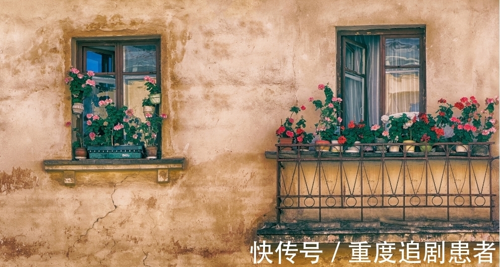 杨绛|如果你感到很焦虑，请逼着自己去做这5件事