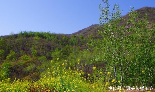 自驾游常馨谷：追寻春天最后一抹油菜花