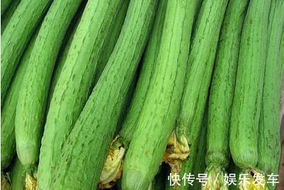 好处|吃点丝瓜好处多,但不要与一物同吃,却有很多人不清楚!