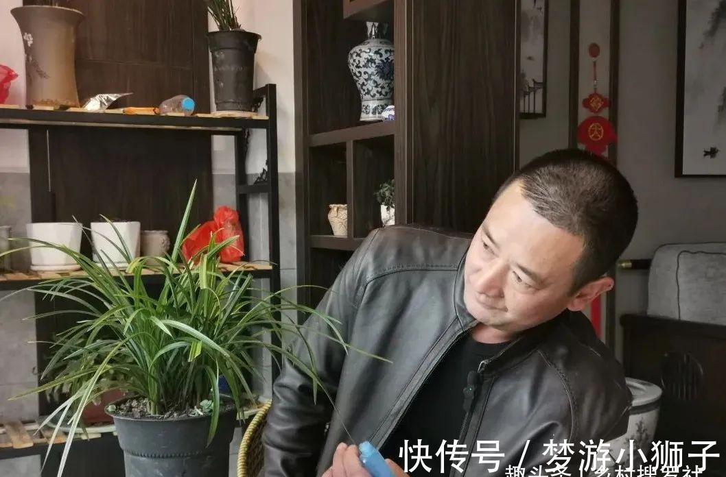 这样的兰花，还能恢复生机？兰友都不敢相信了