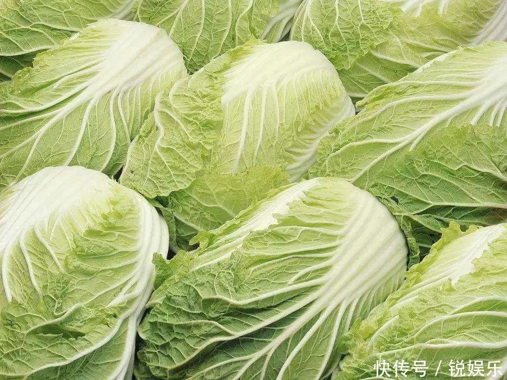 挑选大白菜，挑深绿叶还是浅绿叶小贩教你4点，买到好白菜！