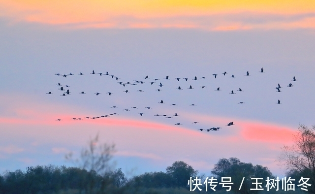 重城府|这几个星座“心机重，城府深”，却不屑于算计他人，一生坦坦荡荡