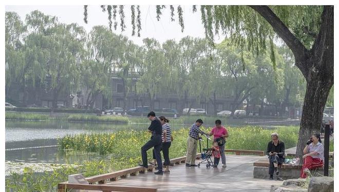 太极|4种运动,称为不花钱的“降压药”,坚持下去,血压不敢“放肆”