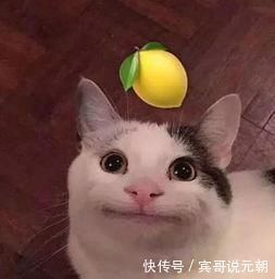 胶原蛋白|10个孕妈9个吐？二胎过来人教你五招！孕期熬过孕吐这个坎