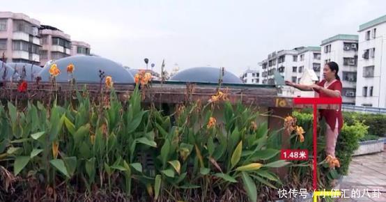  采光台|两男孩突遭事故造成1死1伤原因竟是让人难以想象的意外