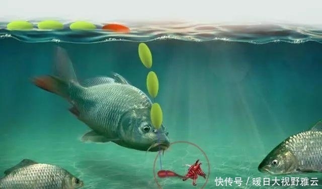 草洞|立漂,七星漂,谷麦钓用漂思路解析!