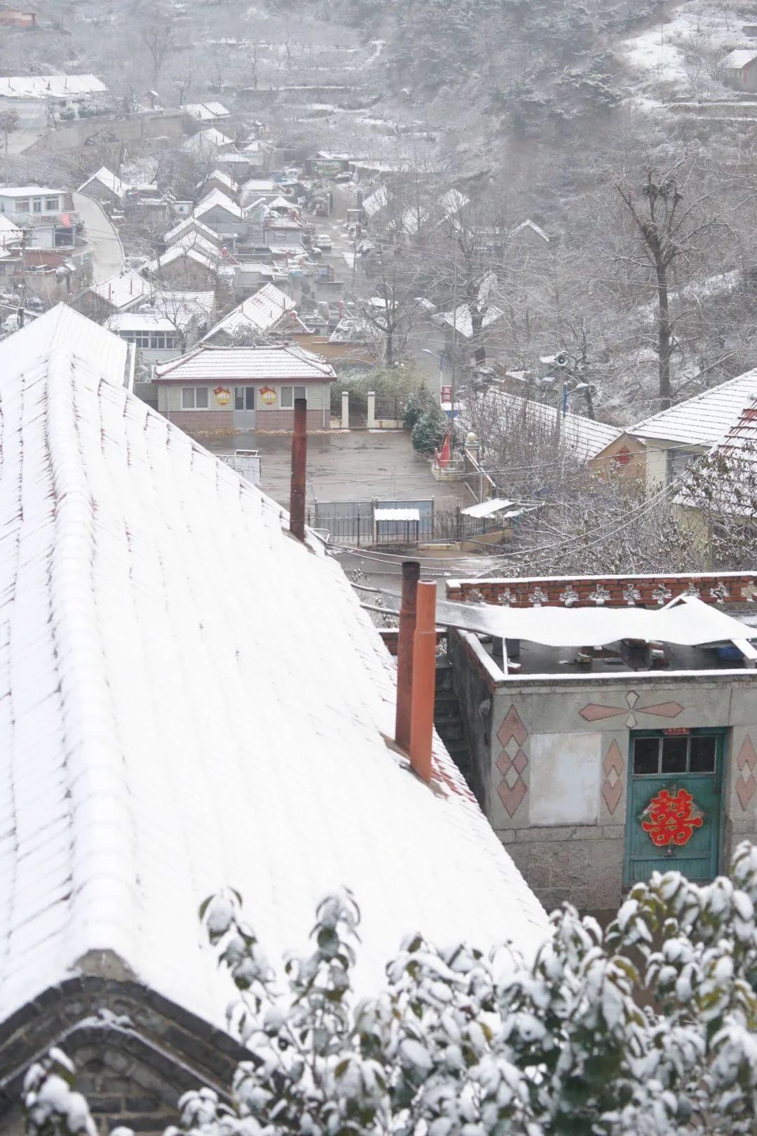 冬雪|静美如初！在冬雪里重遇海阳