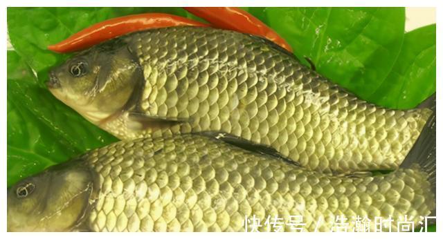 鱼类|请停止食用这4种鱼,可能含有甲醛和重金属,建议转给家里人看看