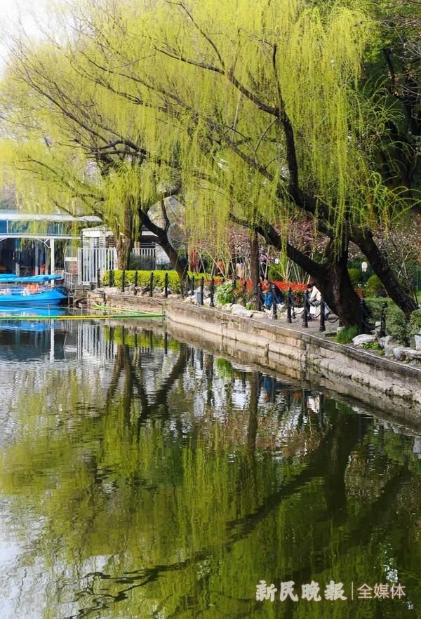 阳春三月 踏春赏景