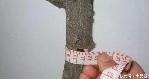 "啥叫文玩硬汉?不管多虐手,说盘就盘"