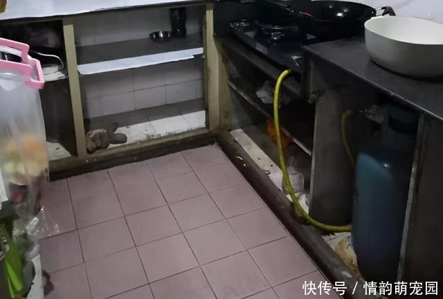 清洁片|建议大家:厨房再大,也别装吊柜!如今流行这样设计,高级又实用