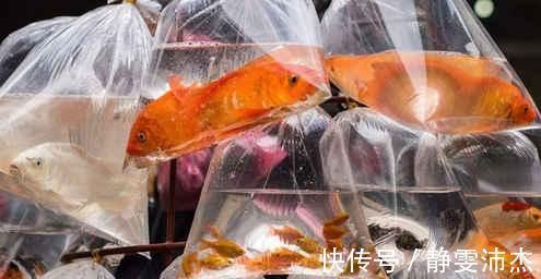 这种塑料袋有毒，千万别用它来装食物，为了家人健康早看早受益