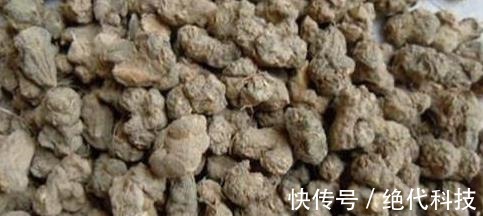 夏紫|有一味不被重视的中药,一粒金丹,能祛风除湿、活血通络