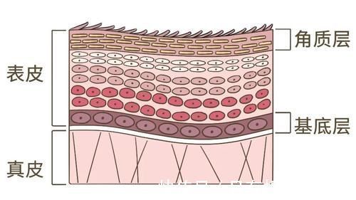 真相|洗澡要不要搓泥?多久洗一次澡?一文读懂洗澡的真相