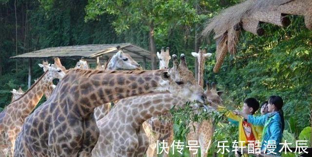 惹的祸|儿童总是注意力不集中不一定是娃的错，也可能是家长“惹的祸”