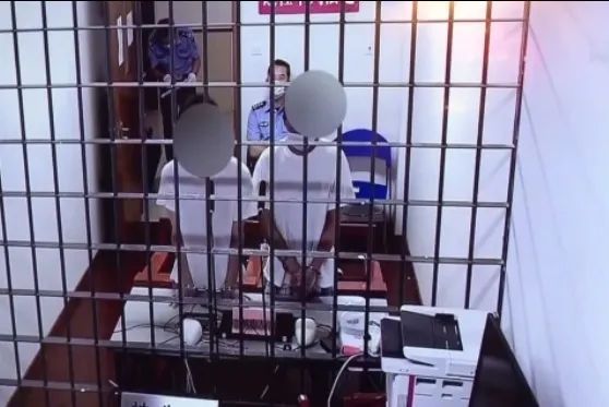 赚钱|“薅羊毛”又出新套路，送鸡蛋还能赚钱？