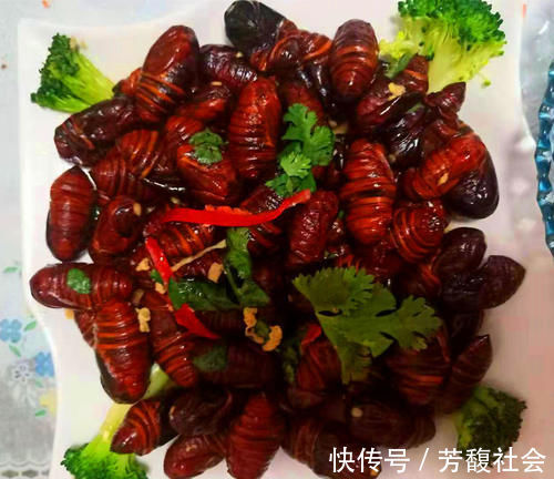 儿子大学放假返家,张罗了一桌子菜,简单丰盛,网友:这是亲爸妈