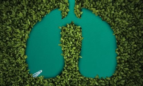 养肺|肺不好的人要远离鸡蛋？医生：若想要养肺，2种白色食物建议少吃