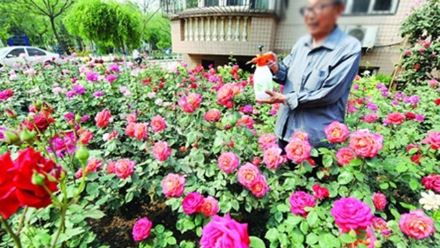 院士|96岁肿瘤院士推荐,简单3句防肝癌,不花冤枉钱,国内外都在用