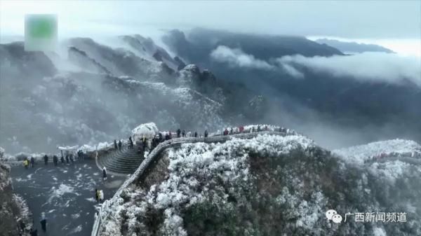 大明山|南宁大明山出现大面积雾凇景观 出行前需先预约购票