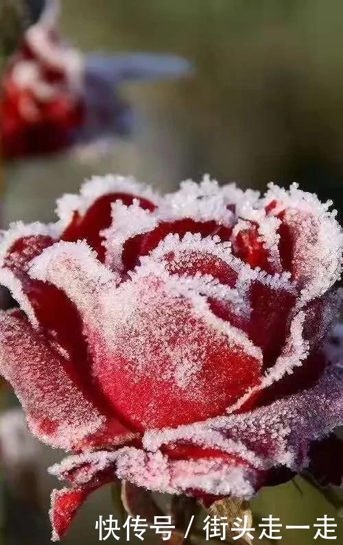 无见识的人|谈交往人的哲学