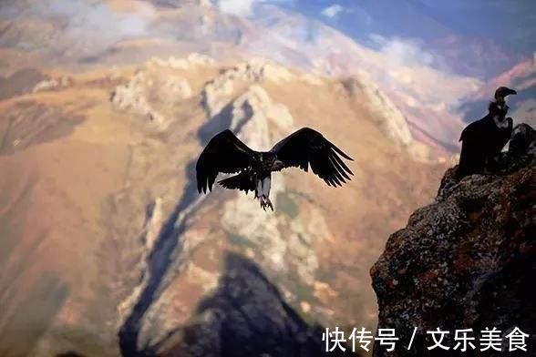 不仁$儒释道各有一句经典格言,千百年来,却时常被人们所误解了