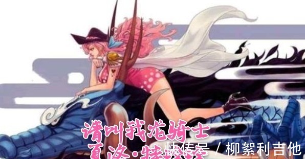 白胡子|凯多再见各位!海贼王我不当了!大秘宝我不要了!因为我要红了