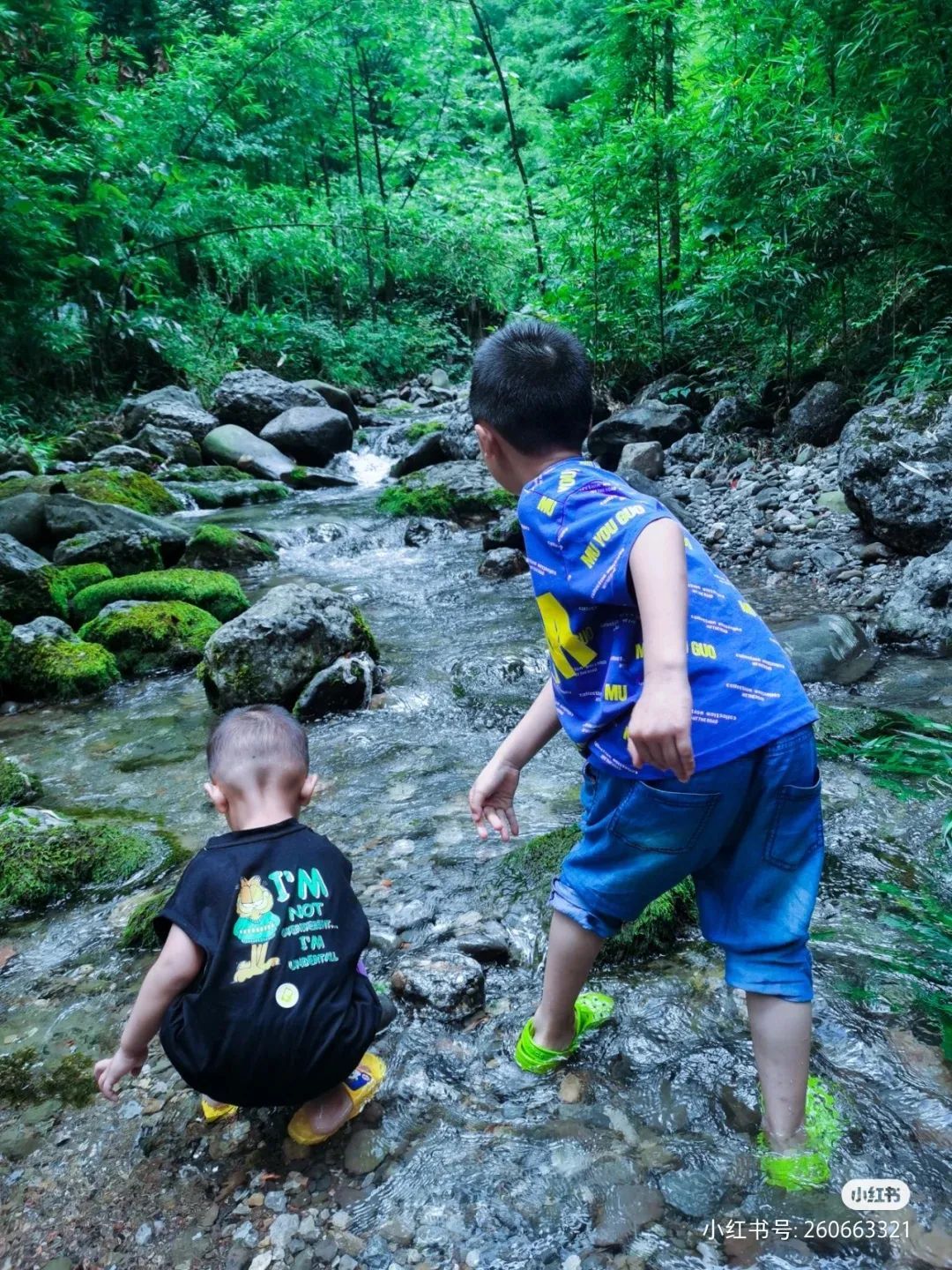 探秘|汶川100景：带你探秘汶川赵公山后绝世秘境，避暑太巴适了