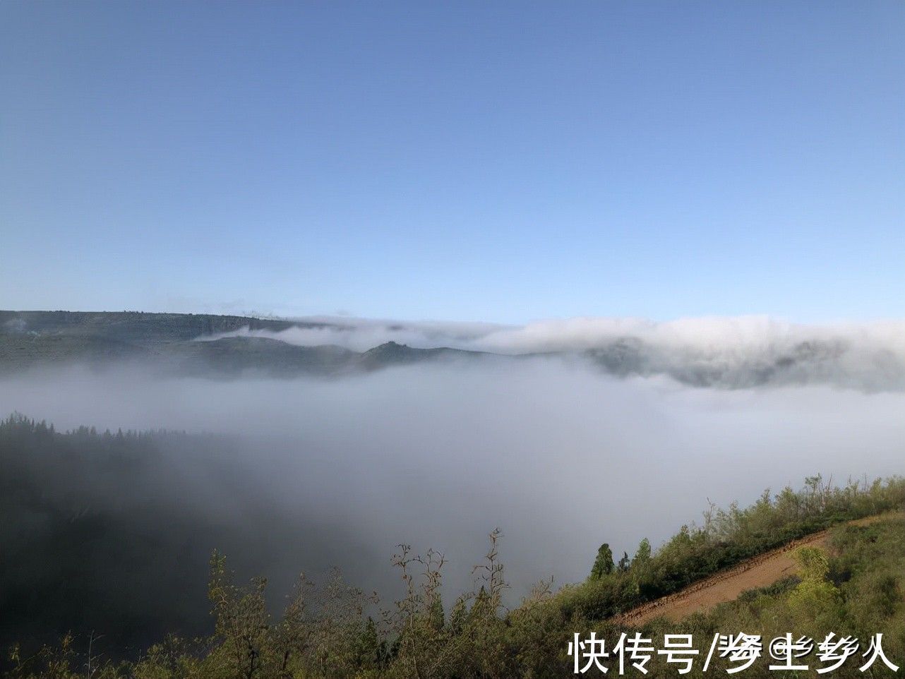 古人#古人说:“藏象”合一,万物皆成,是啥意思?藏和象指的是啥?