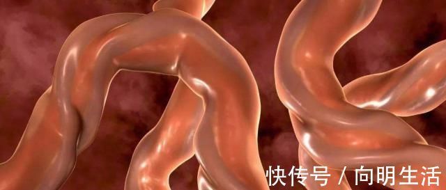 产检|孕妇挺了8个月大肚子，等待她的却是空月子，最后哭成泪人