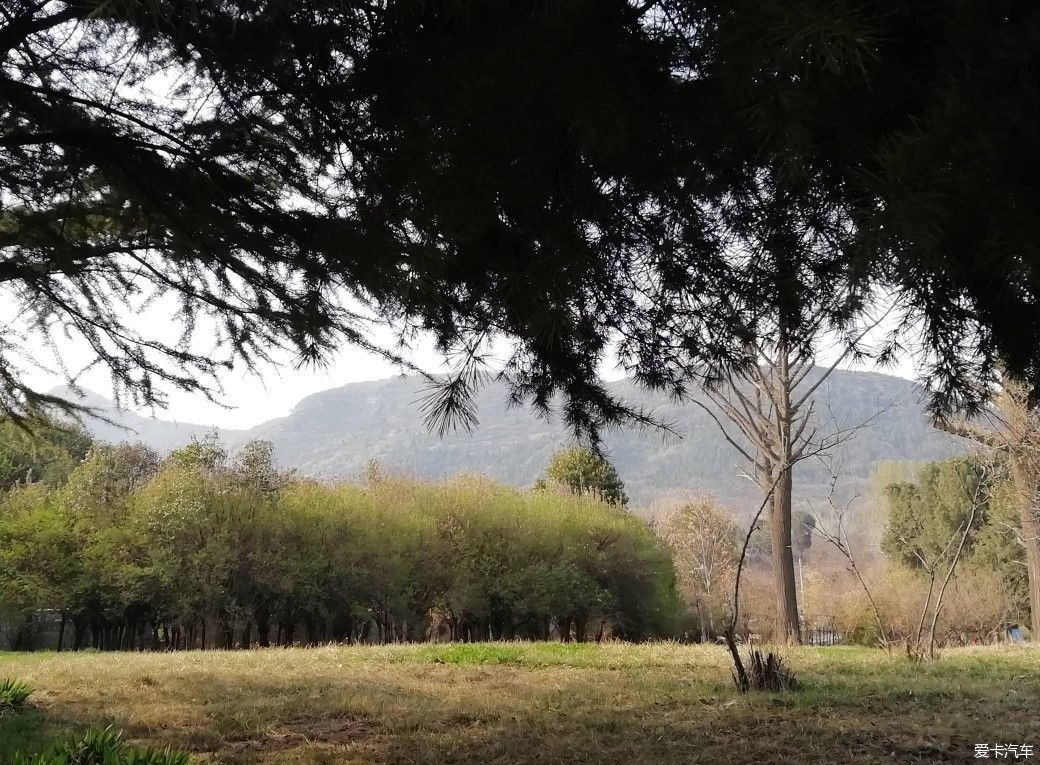 少林寺|中外闻名寺院～少林寺（下）