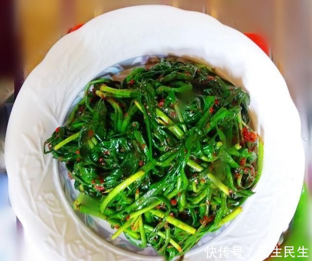 炝拌韭菜你吃过吗?不要韭菜炒鸡蛋,试试开胃下饭特简单的拌韭菜