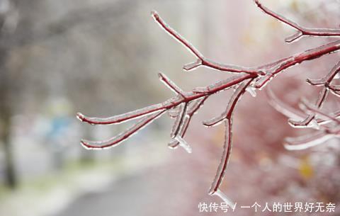 冬天|冬天手脚冰凉怎么调理4个妙招帮你回温