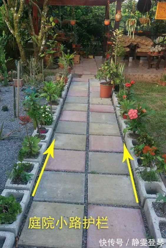 种菜|光秃秃院子太浪费,农村老爸用18块空心砖,改造成人见人爱的菜园