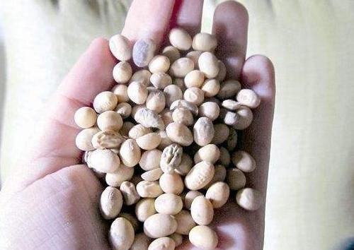  花肥|用鸡蛋壳自制花肥，多加这1步，肥效翻倍，推荐！