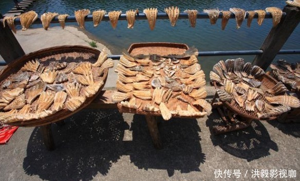 皱纹“讨厌”的6类食物,女性朋友敞开吃,或能紧致肌肤、不显老