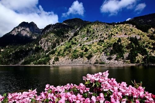 「螺髻山」山高水长花更艳