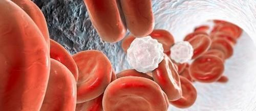 身体|每天坚持踮脚尖的人,身体会有哪些变化?每次要踮多长时间?