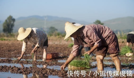 领导者$历史说明眼光的重要性:士农工商原是治国大道,却浪费在阶级上