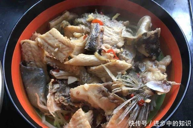 国人最容易忽略的鱼,比鲫鱼营养美味,孩子常吃补脑学习好!