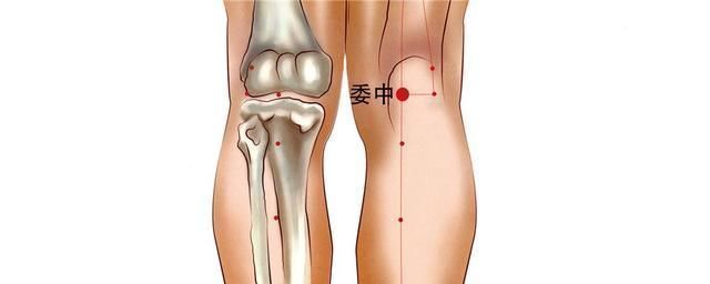 奇穴妙用(五)人中、委中穴-急性腰痛特效穴