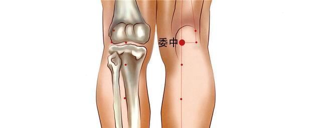 奇穴妙用(五)人中、委中穴-急性腰痛特效穴